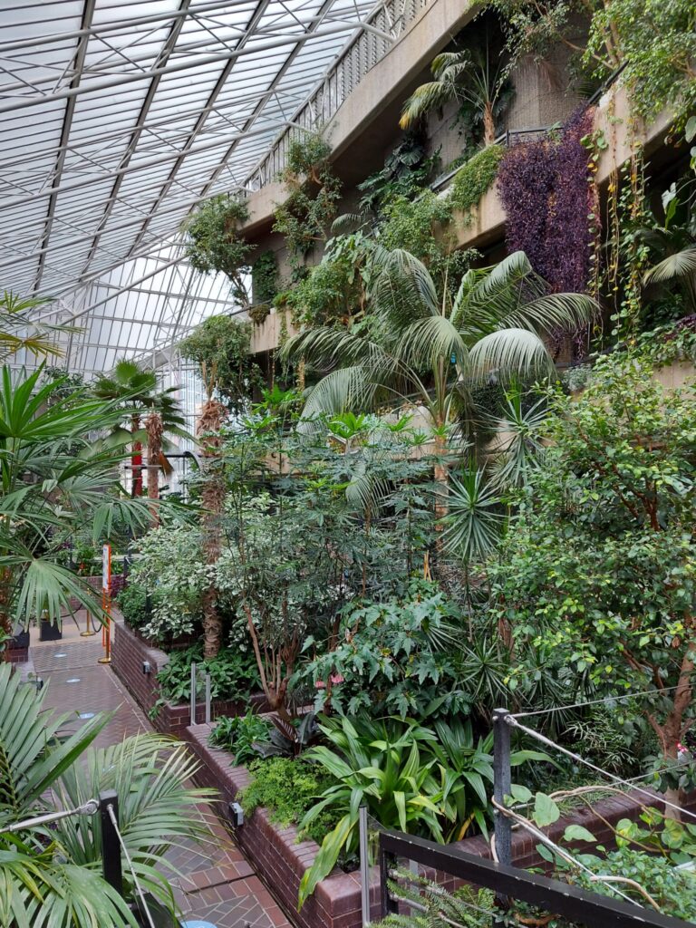 Una foresta tropicale a Londra: Come visitare il Barbican Conservatory